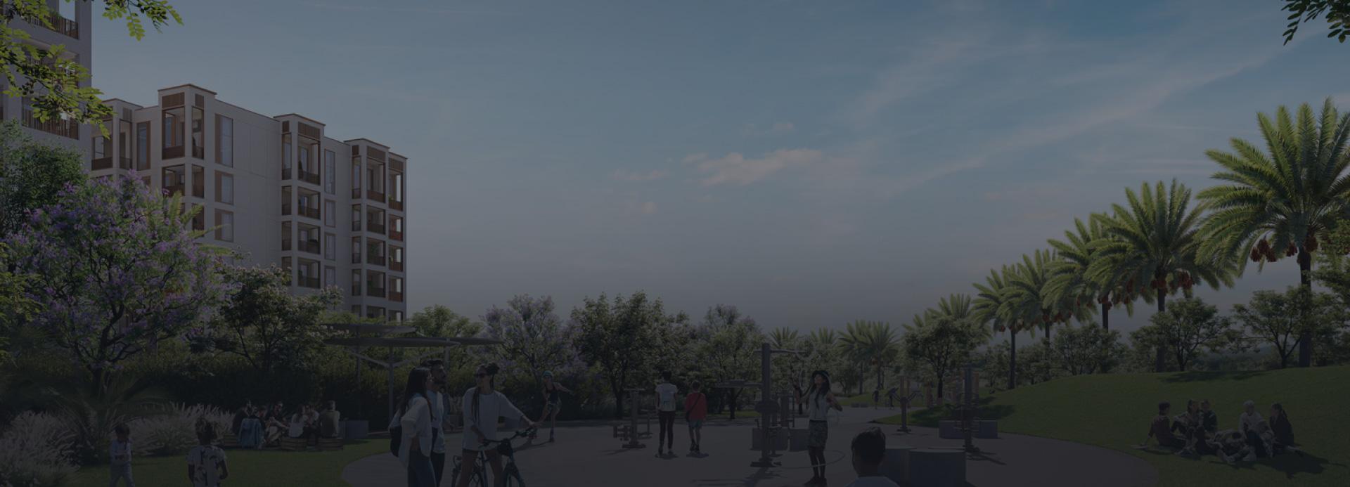 Mangrove - Image 1
