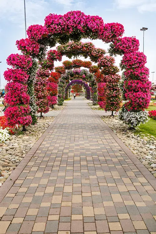 Dubai Miracle Garden: What You Need to Know